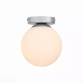 SL717.501.01 Светильник настенно-потолочный Evoluce ACINI