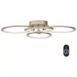 SL867.302.04 Потолочная светодиодная люстра с пультом ДУ ST Luce Twiddle Dimmer