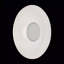 SL925.501.01 Уличный настенный светодиодный светильник ST Luce