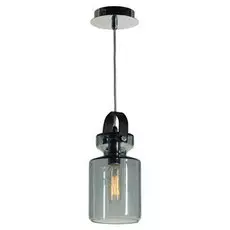 SLD977.703.01 Подвесной светильник ST Luce Coppa