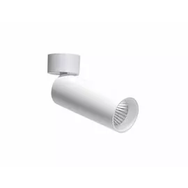 Спот (блок питания в комплекте) Donolux Rollo DL18895R20W1W ST