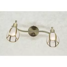 Спот Citilux Альтен-2 CL522621