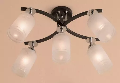 Спот Citilux Фортуна CL156151