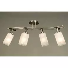 Спот Citilux Мерида CL142141