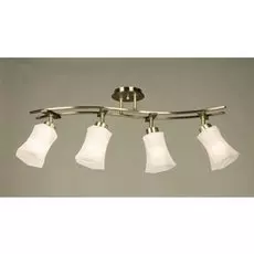 Спот Citilux Мерида CL142143