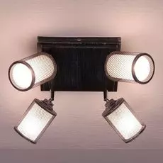 Спот Citilux Робин CL535541