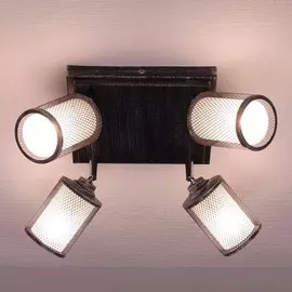 Спот Citilux Робин CL535541