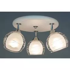 Спот Citilux Самба CL158131