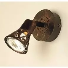 Спот Citilux Винон CL519514