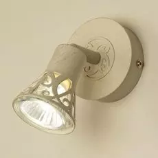 Спот Citilux Винон CL519515