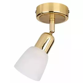 Спот Escada 5039/1PA E14*40W Gold/White FABIUS