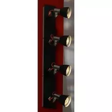 Спот Lussole Frontino LSL-7409-04