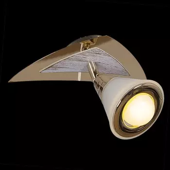 Спот Reluce 00640 1411085