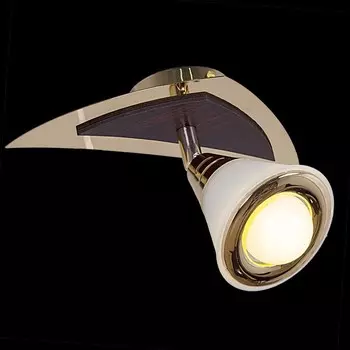 Спот Reluce 00640 1411087