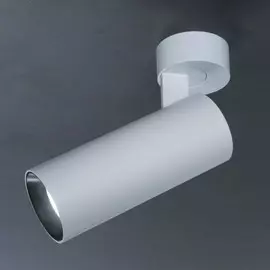 Спот светодиодный Тубус Citilux CL01B120N