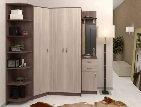 Стенка для прихожей Горизонт Баронс 762