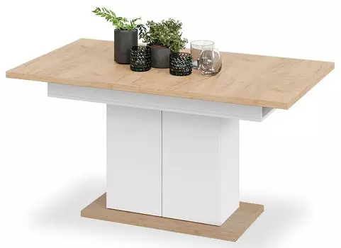 Стол обеденный Детройт Тип 1 Трия (TRI_215175)