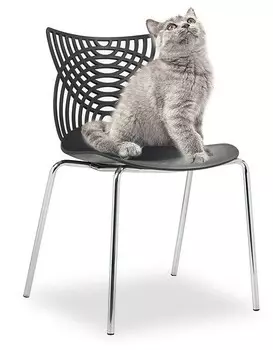 Стул Cat Bradex Home FR 0830