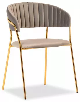 Стул Turin Bradex Home FR 0392 (DK)