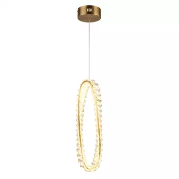 Светильник подвесной Aployt Olimp APL.045.06.15