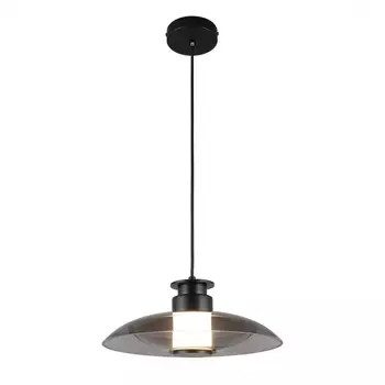 Светильник подвесной Aployt Stefa APL.648.06.10