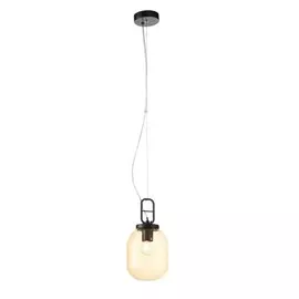 Светильник подвесной Burasca ST-Luce SL1050.403.01