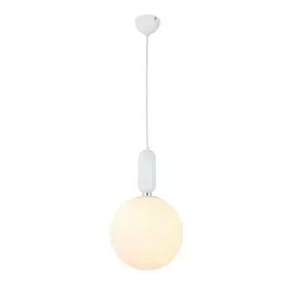 Светильник подвесной Rietta ST-Luce SL1220.503.01