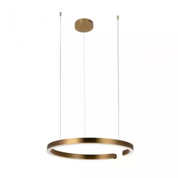 Светильник подвесной светодиодный Loft It Ring 10013L