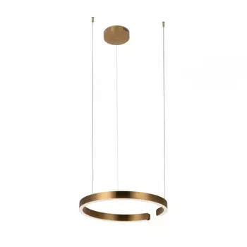 Светильник подвесной светодиодный Loft It Ring 10013M