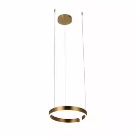 Светильник подвесной светодиодный Loft It Ring 10013S