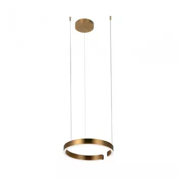 Светильник подвесной светодиодный Loft It Ring 10013S