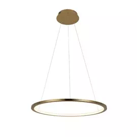 Светильник подвесной светодиодный Loft It Ring 10014M