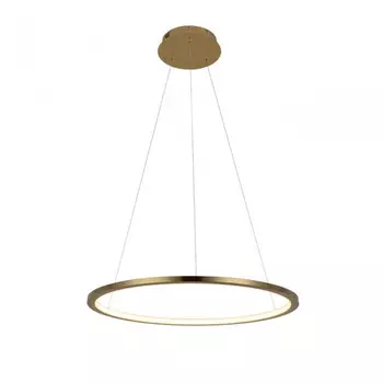 Светильник подвесной светодиодный Loft It Ring 10014M