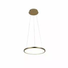 Светильник подвесной светодиодный Loft It Ring 10014S