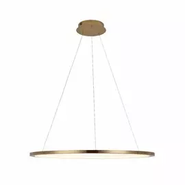 Светильник подвесной светодиодный LOFTIT Ring 10014L
