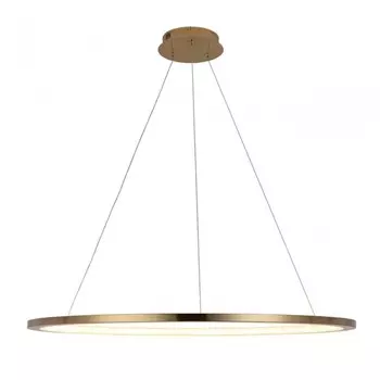 Светильник подвесной светодиодный LOFTIT Ring 10014XL
