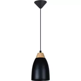 Светильник подвесной Toplight Leah TL0724H-2B