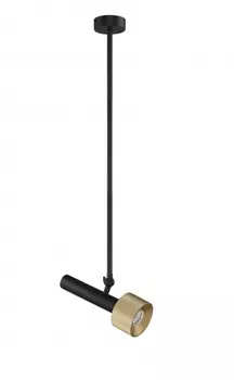 Светильник потолочный iLEDEX Delta 2361-1 BK+BR