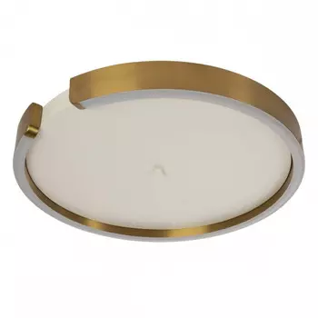 Светильник потолочный LOFTIT Ring 10026