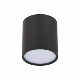 Светильник потолочный ST-Luce ST113.432.05
