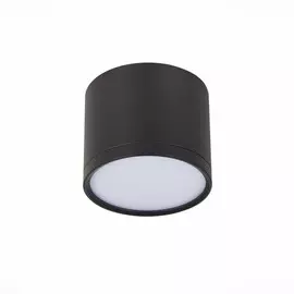 Светильник потолочный ST-Luce ST113.432.09