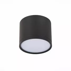 Светильник потолочный ST-Luce ST113.442.09