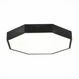 Светильник потолочный светодиодный Evoluce RONDO SLE200842-01