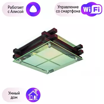 Светильник с поддержкой Алисы потолочный Omnilux OML-40507-02-A