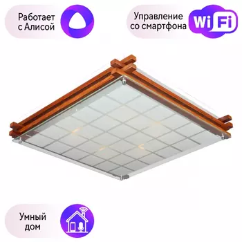 Светильник с поддержкой Алисы потолочный Omnilux OML-40527-05-A