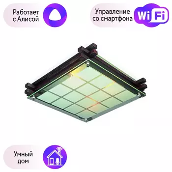 Светильник с поддержкой Алисы потолочный Omnilux OML-40507-04-A