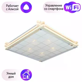 Светильник с поддержкой Алисы потолочный Omnilux OML-40517-05-A