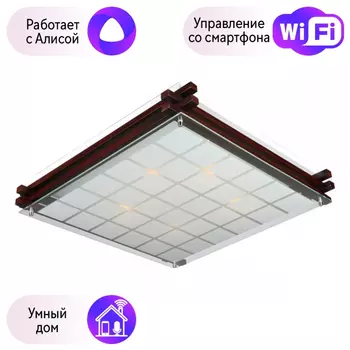 Светильник с поддержкой Алисы потолочный Omnilux OML-40507-05-A