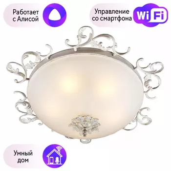 Светильник с поддержкой Алисы потолочный Omnilux OML-76517-05-A