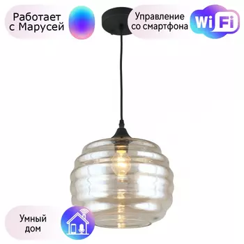 Светильник с поддержкой Маруси подвесной APLOYT APL.605.06.01-M